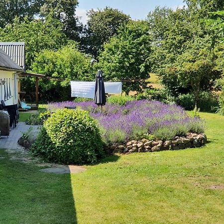 Rolsø Retreat Villa Knebel Eksteriør bilde
