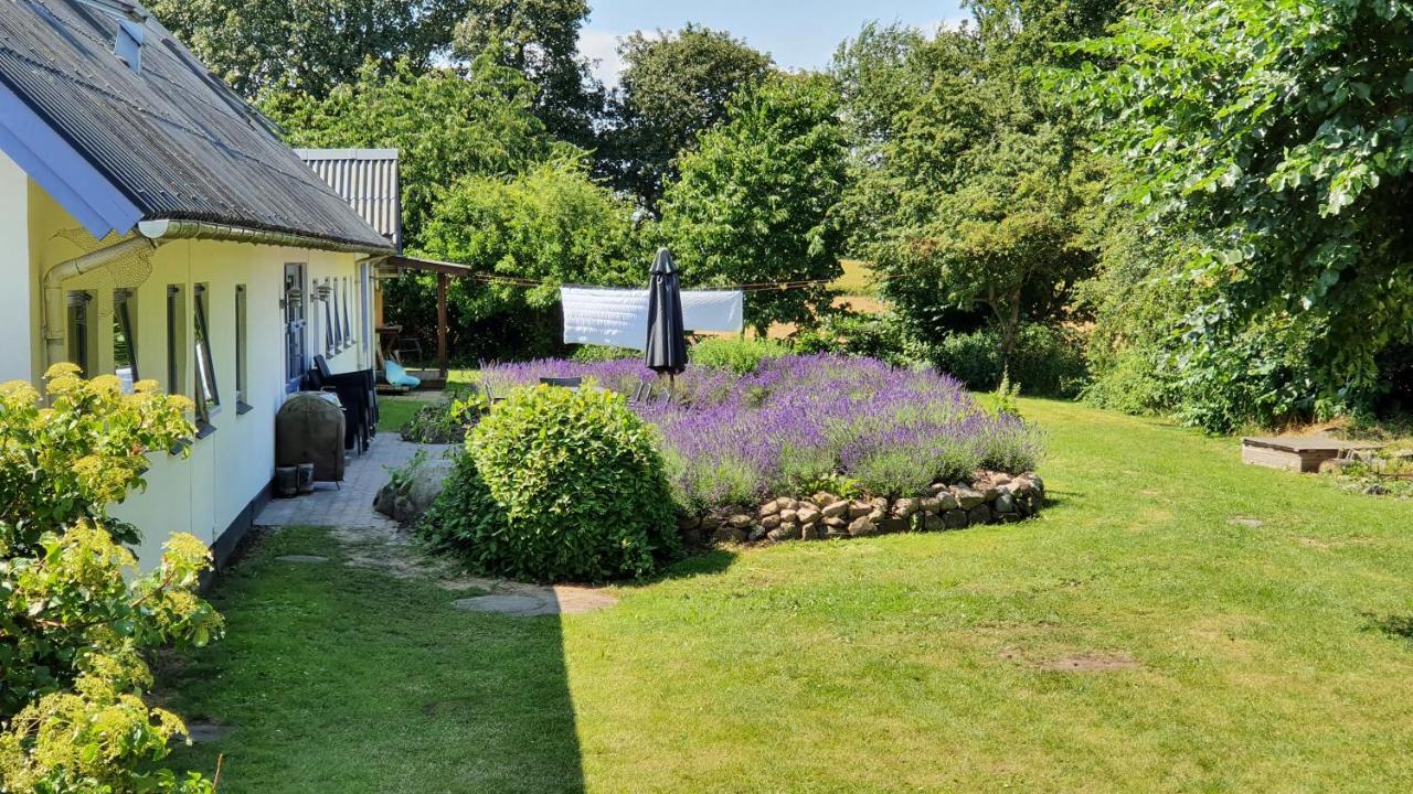 Rolsø Retreat Villa Knebel Eksteriør bilde
