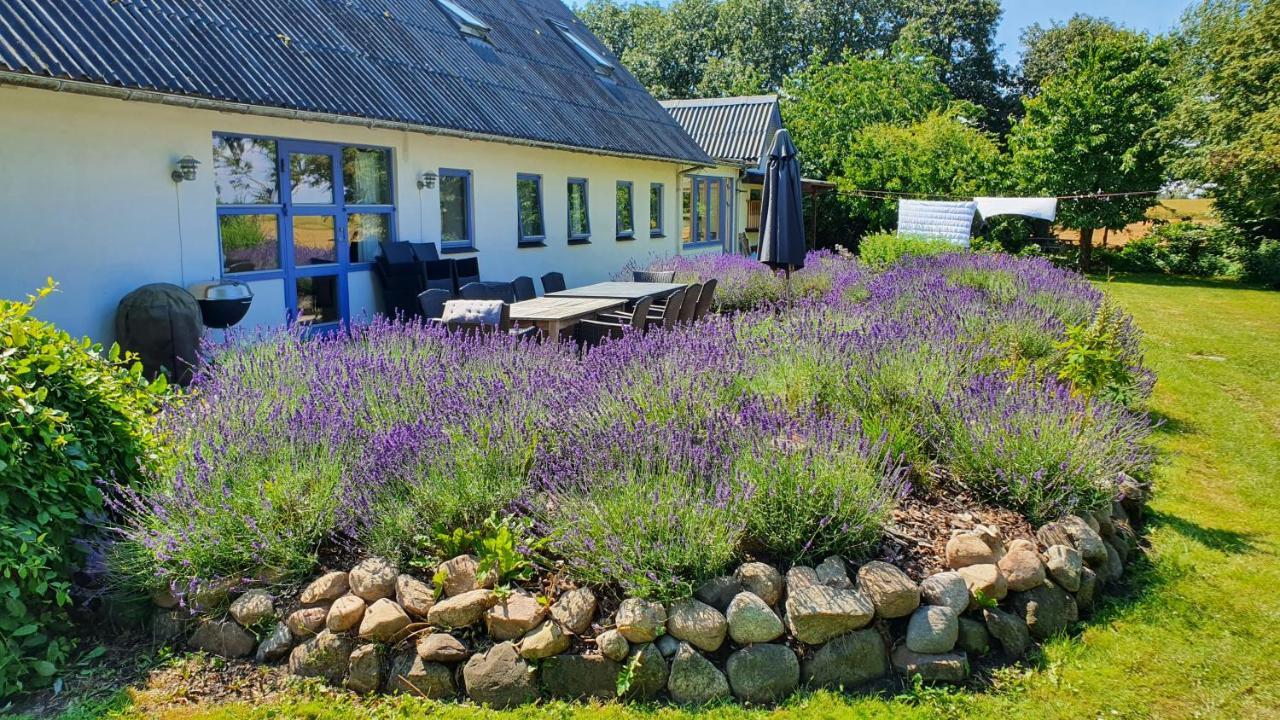 Rolsø Retreat Villa Knebel Eksteriør bilde